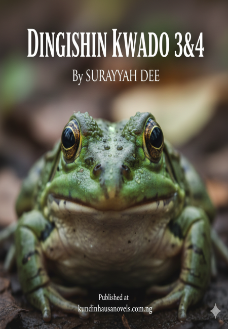 Dingishin Kwado 3 & 4 By Surayyah Dee
